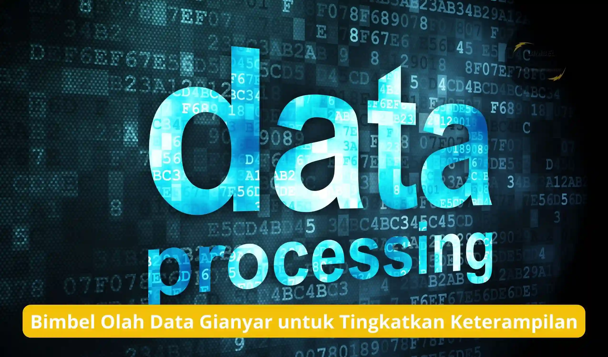 Bimbel Olah Data Gianyar untuk Tingkatkan Keterampilan